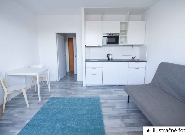 Studio apartment with a kitchenette, sofa, table, and wooden decor flooring.