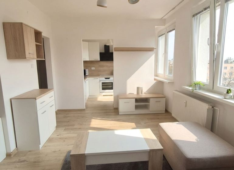Interior of a 1-room apartment with light walls and a floor with a wood decor.