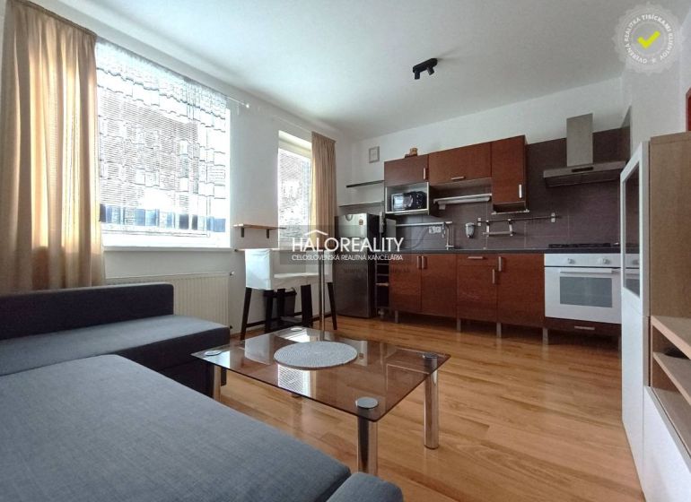 Living room with kitchen in a 2-room apartment, wooden decor flooring, light walls, gray sofa.