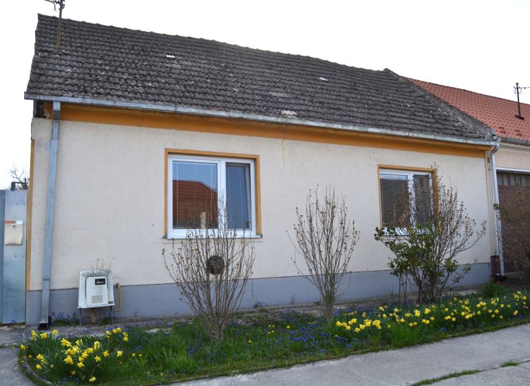 A family house in Nižná with a flower garden and a shingle roof.