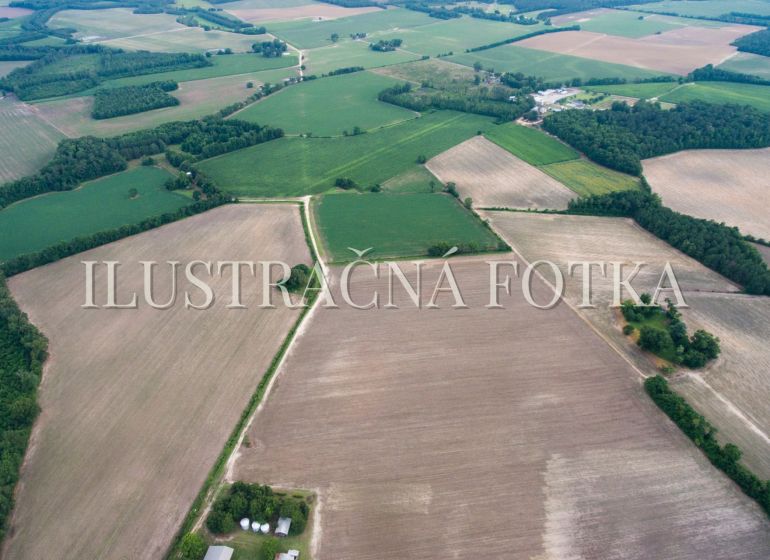 Aerial view of extensive agricultural lands near the village of Pataš, suitable for residential use.