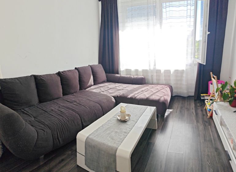 Living room in a three-room apartment with a wooden decor floor and a dark sofa.