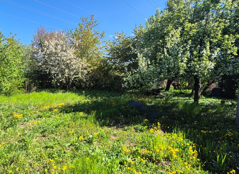 Gardens full of flowers and blooming trees on Vodná Street in Nitra.