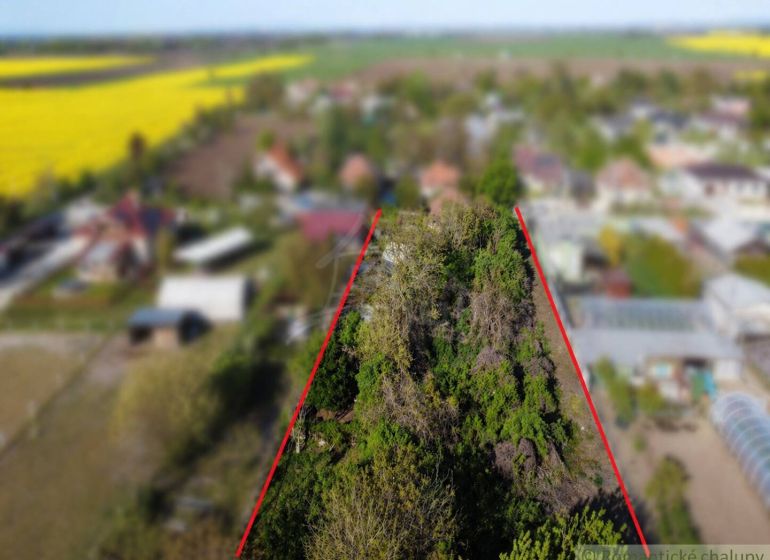 Greenery on a residential plot in Palárikovo surrounded by rural landscape.