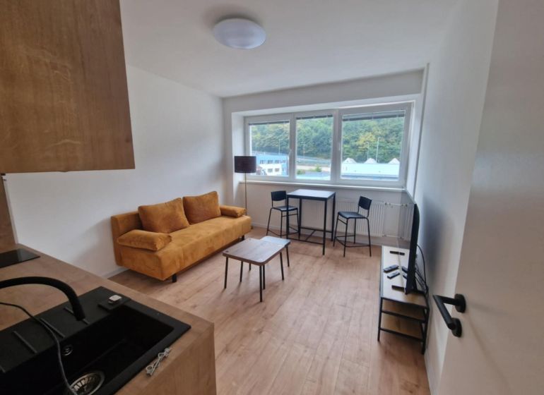 Living room of a two-room apartment with a sofa, dining table, and wood-patterned flooring.