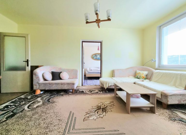 Living room with a sofa, coffee table, and large carpet in a 3-room apartment.