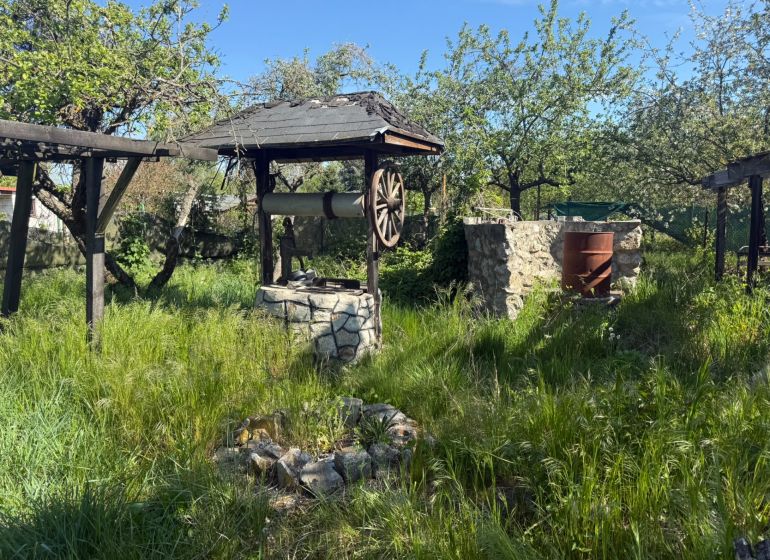 The garden by the cottage in Malacky with a stone well and wild grass.