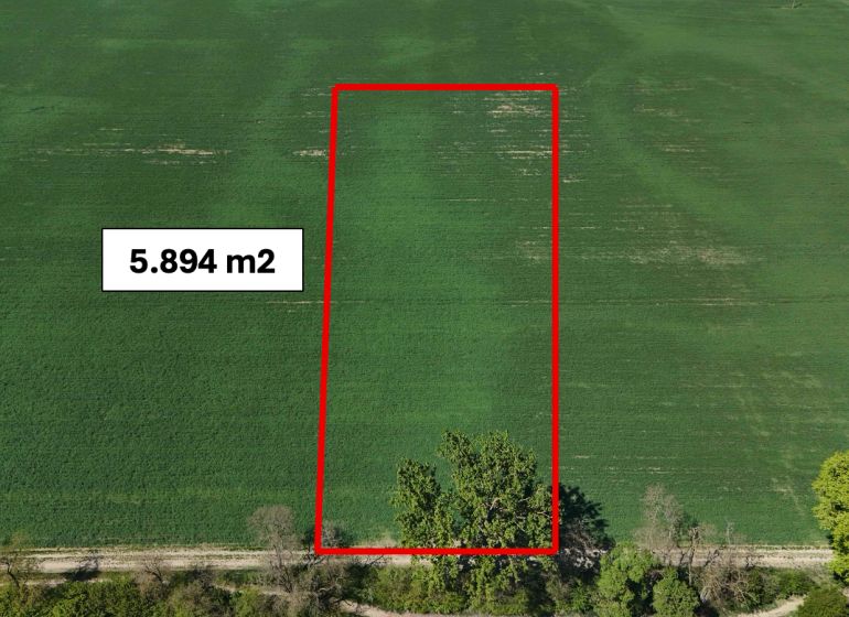 Recreational land in Trhovište, a green area with a size of 5,894 m² with a road.