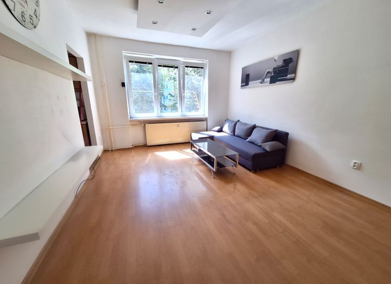 Living room in a studio apartment with wood-patterned flooring, a sofa, and a coffee table.