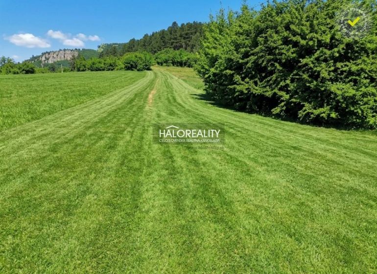 Green meadows and trees on recreational lands near Trenčianske Mitice.