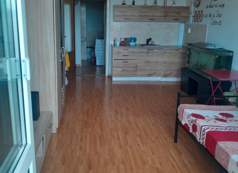 Studio apartment with wood-patterned flooring, a kitchen unit, and an aquarium in the corner.