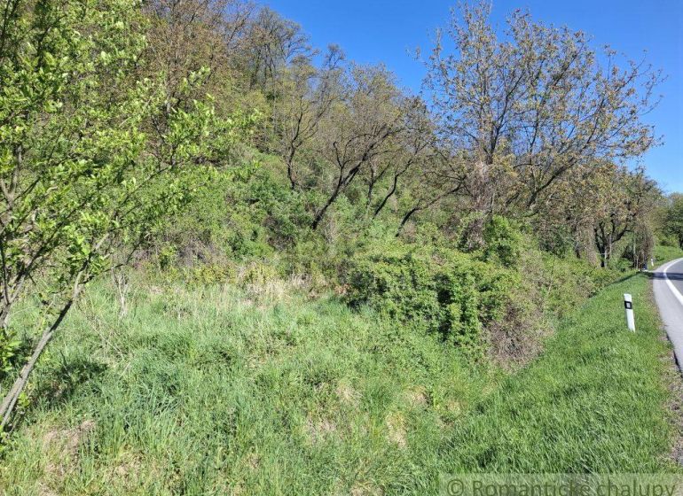 Natural scenery with greenery and a road in Šiatorská Bukovinka. Land - residential.