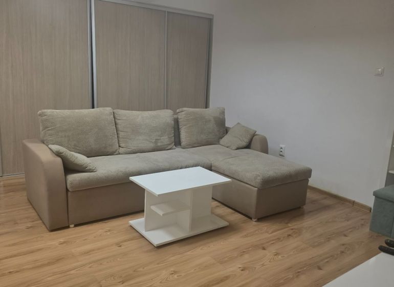 1-bedroom apartment with a corner sofa, table, and floor with a wooden decor.