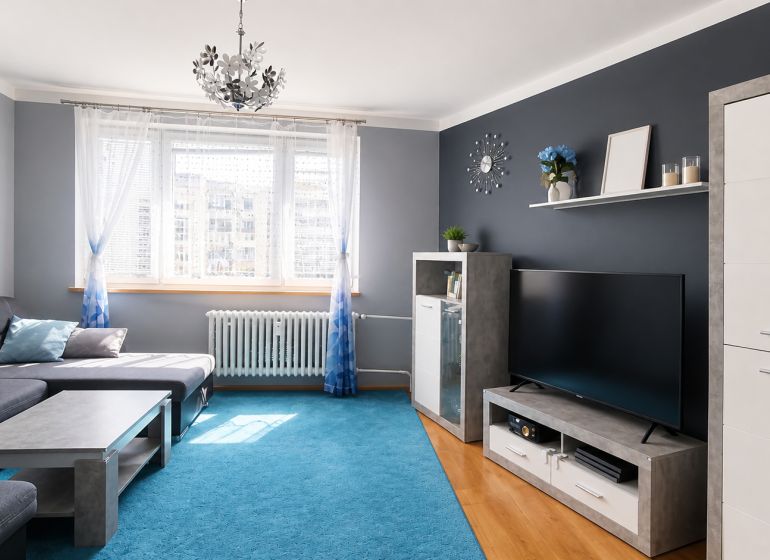 Living room in a 3-room apartment with a wooden decor floor and a blue carpet.