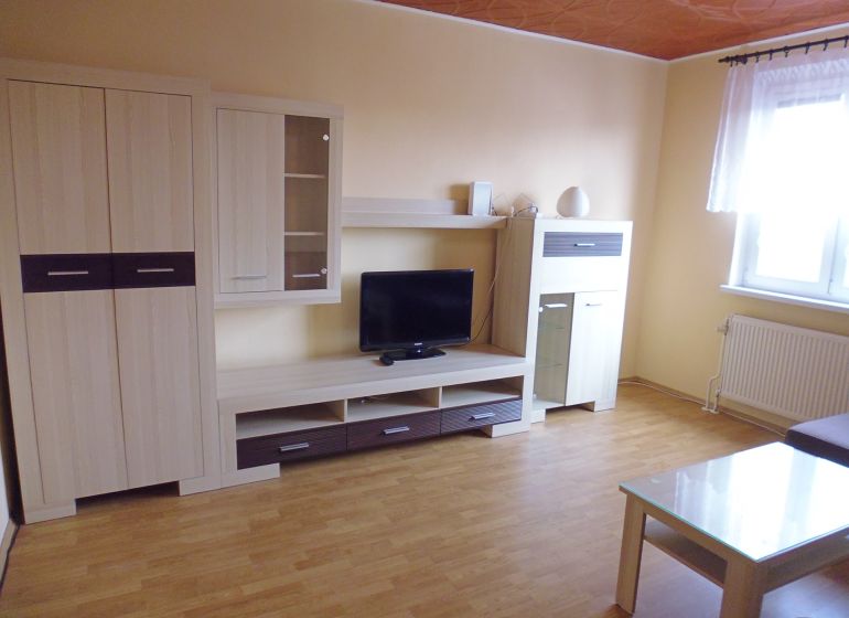 Living room in a 2-room apartment with furniture, TV, and flooring with a wood decor.