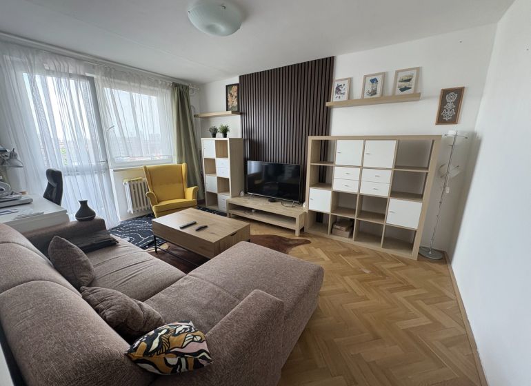 Living room in a two-room apartment with a comfortable sofa and a wooden decor floor.