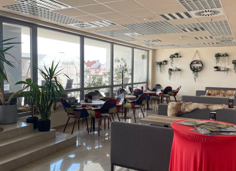Interior of dining spaces with flowers, colorful chairs, and sofas on a floor with decor.