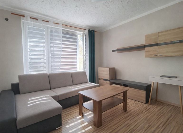 Living room with a sofa, wooden decor flooring, and furniture in a studio apartment.