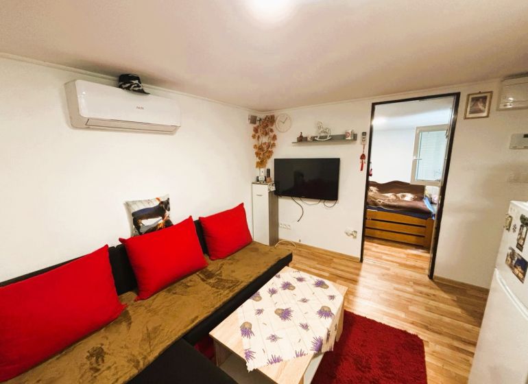 Living room with a sofa, red cushions, TV, and wood-patterned flooring.