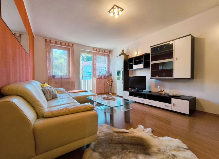 Living room in a two-room apartment with a leather sofa, glass table, and floor decor.