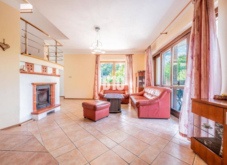 Living room in a family house with a fireplace, red sofa, and windows with a view.