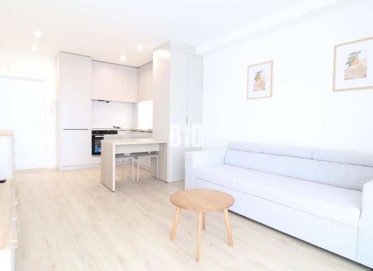 Living room in a one-bedroom apartment with a wooden decor floor and light furniture.