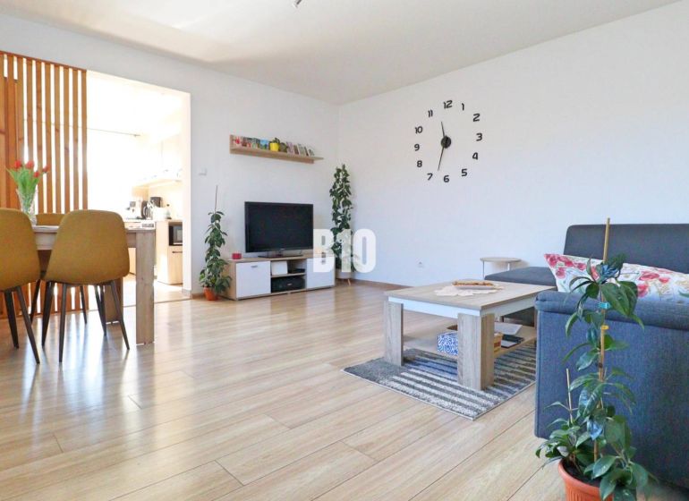 Living room in a family house with wooden decor flooring, dining table, and sofa.