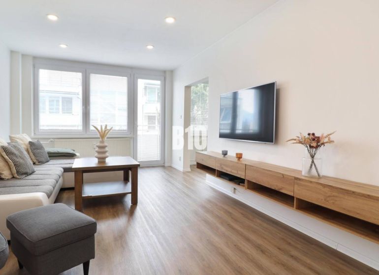 Living room in a three-room apartment with a wooden decor floor and a sofa.