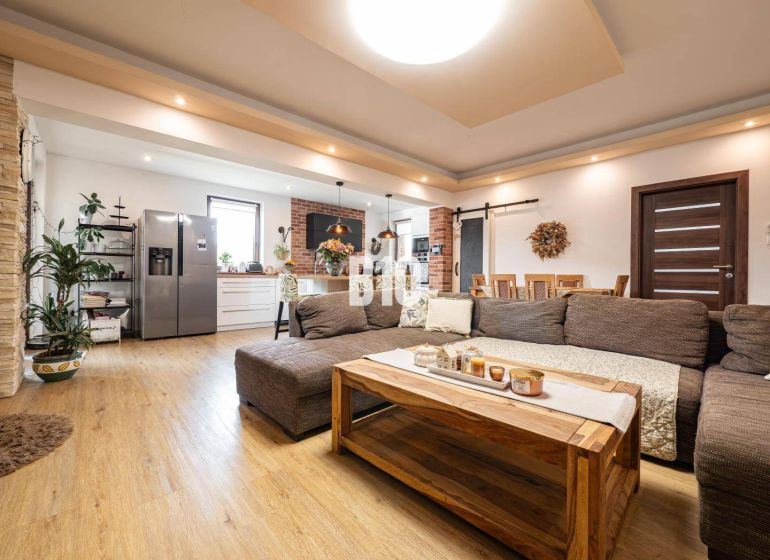 Living room with kitchen in a family house, sofa, wooden decor flooring, greenery.