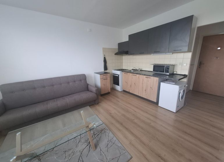 Living area of a studio apartment with a wooden decor floor, sofa, and kitchenette.