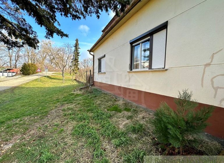 A family house in Kolárovo with an adjacent grassy garden and coniferous trees.