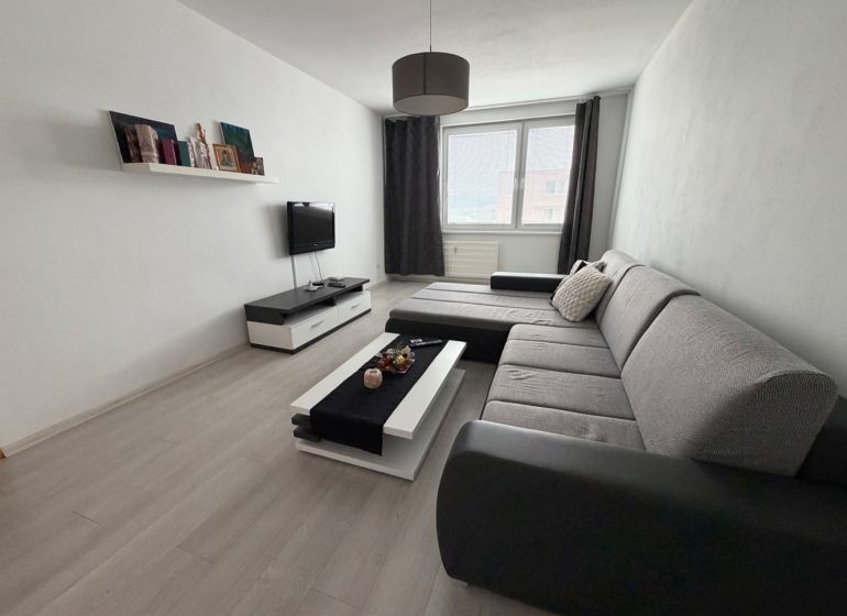 Living room in a two-room apartment with a wooden decor floor and a gray sofa.