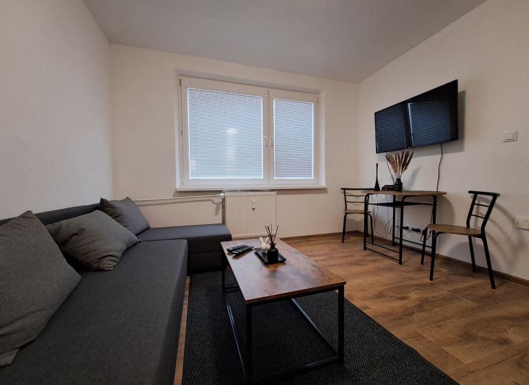 Living room with wood-patterned flooring, a sofa, and a television in a studio apartment.