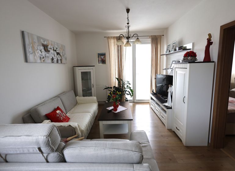 Living room in a two-room apartment with a sofa and a wooden decor floor.