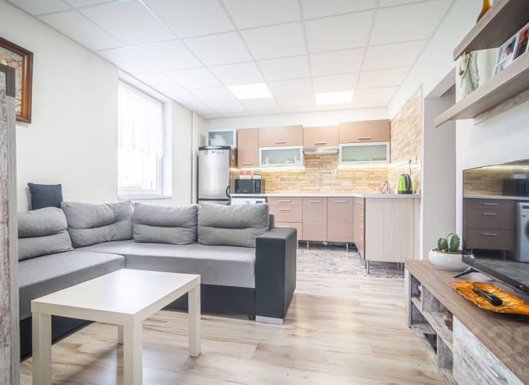 A comfortable living room with a kitchen and a wooden decor floor in a 2-room apartment.