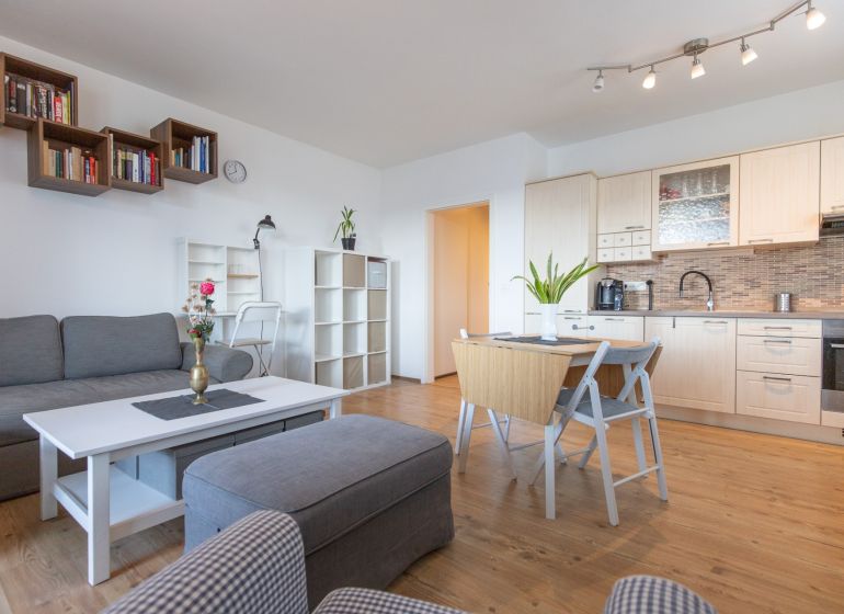 Living room in a two-room apartment with a kitchen, wooden decor flooring, gray sofa.