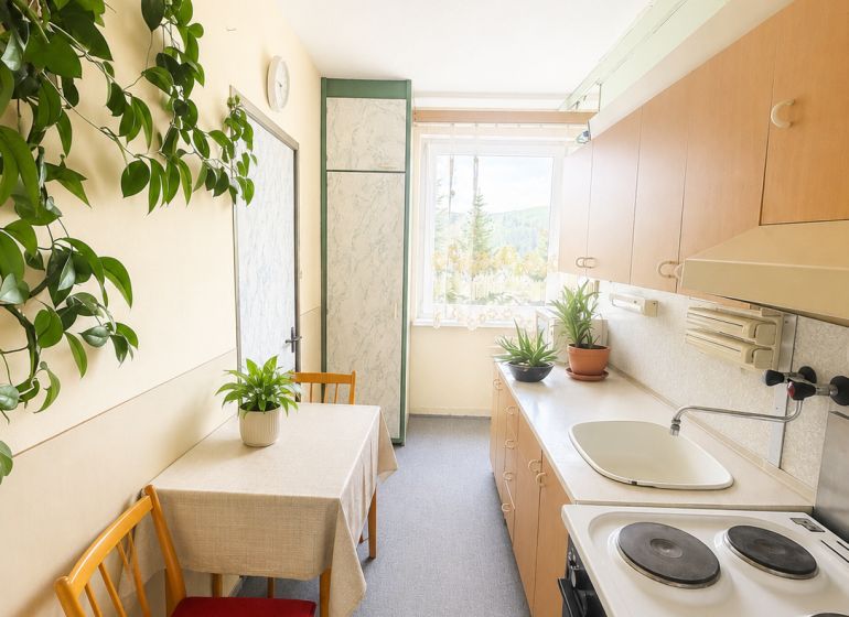A kitchen in a 3-room apartment with a dining area and houseplants.