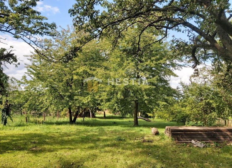 Greenery with grass and trees in Cerová, suitable for residential plots.