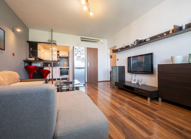Living room in a two-room apartment with a wooden decor floor and a comfortable sofa.