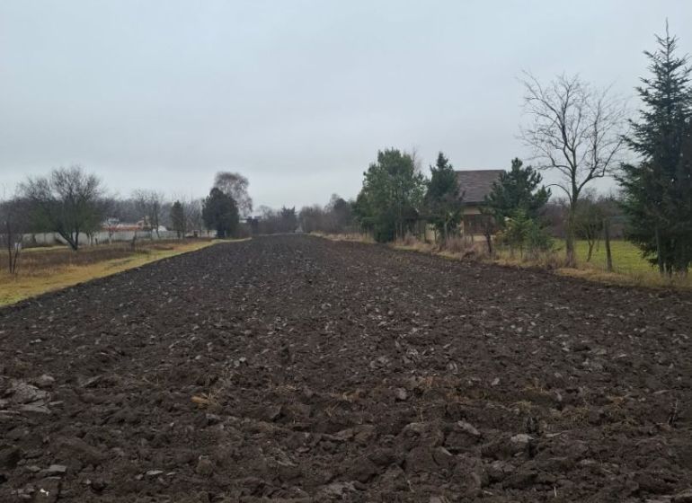 A cultivated field in the Gardens of the city of Dunajská Streda with rural landscape and trees.