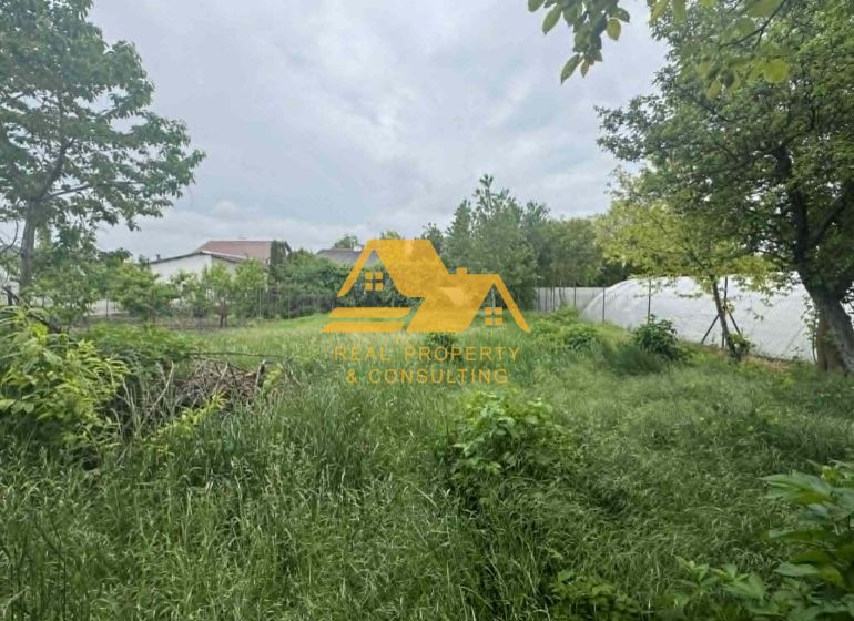 Garden and greenery on plots designated for housing in Andovce on Andovce Street.