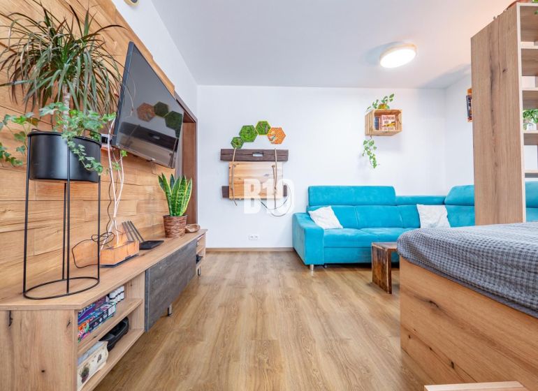 A one-room apartment with a blue sofa, a wooden decor floor, greenery, and a TV on the wall.
