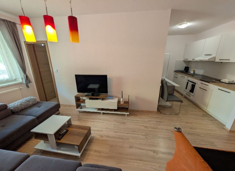 Living room of a two-room apartment with a wooden decor floor, a sofa, and a kitchen unit.