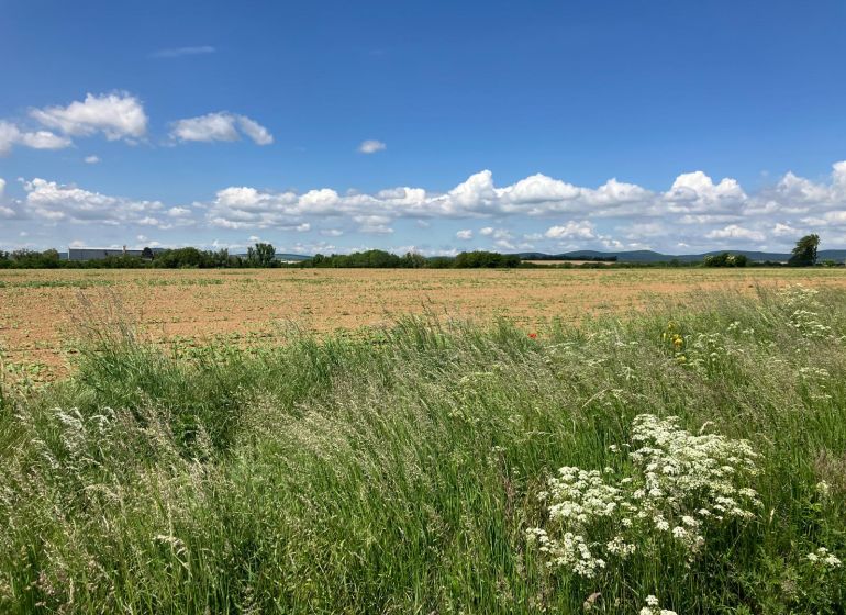 Plots - housing in Krtovce, vast fields and nature on the horizon.