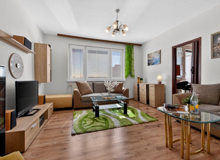 Living room in a two-room apartment with a sofa, wood-patterned flooring, and decorations.