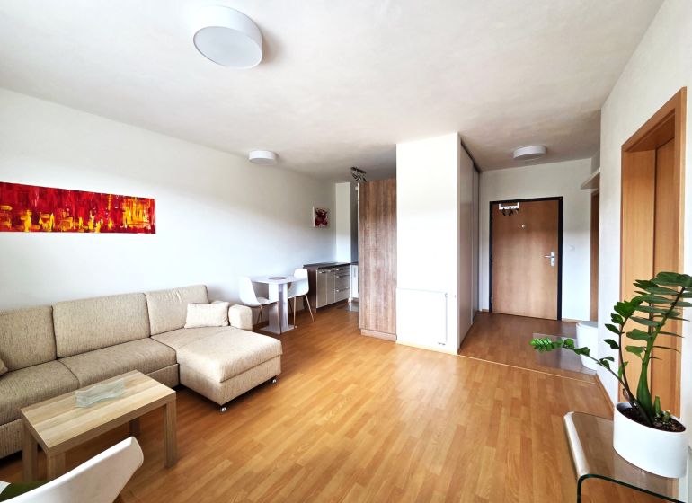 Living room in a two-room apartment with a wooden decor floor, beige sofa.