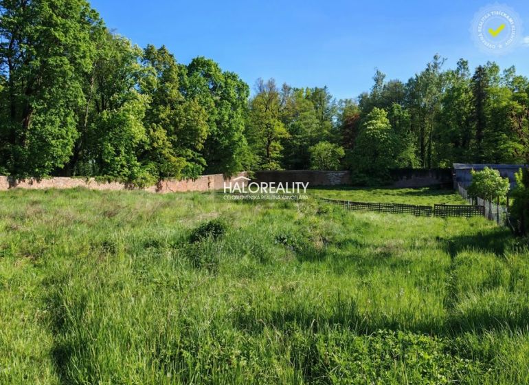 Greenery and a grassy plot bordered by a wall in Spišský Hrhov, suitable for living.