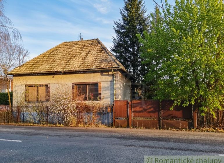A cottage in the village of Divín with a front garden and a tree during late spring.