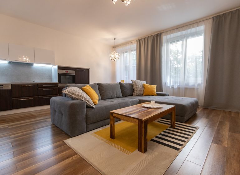 Living room in a 2-room apartment with a sofa, kitchen, and wood-patterned flooring.