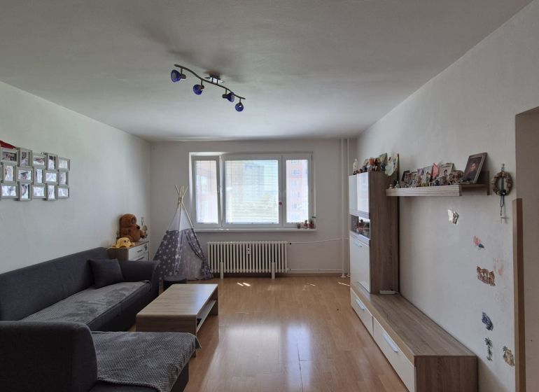 Living room in a three-room apartment with a comfortable sofa, wooden decor flooring, and toys.